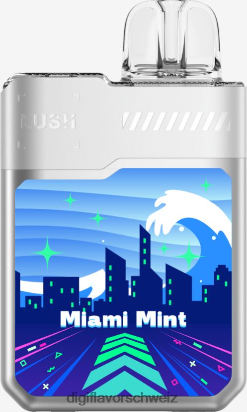 Digiflavor Schweiz - Digiflavor Geekbar LUSH Einwegartikel Miami-Minze 2DN86B11